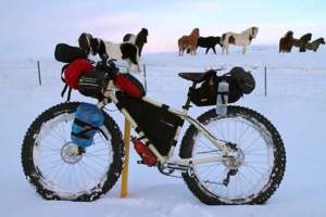 FB_IMG_1454327707407